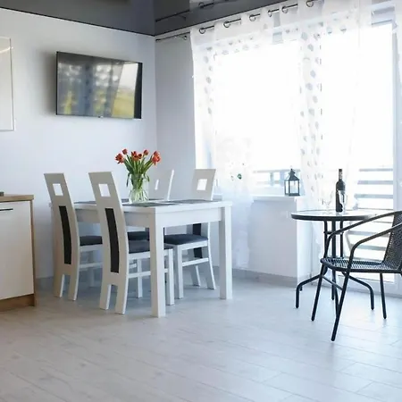 Scarlet * 다르워보