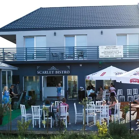 Scarlet 다르워보