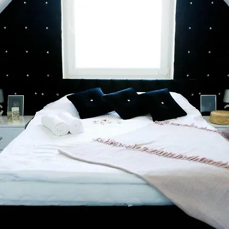 Scarlet * 다르워보