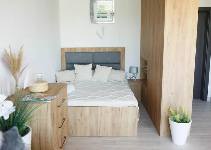 Scarlet ダルウォボ